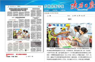 5001拉斯维加斯西北集团珑樾府项目高温慰问——《陕西日报》